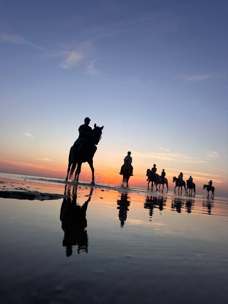 Passeggiata a cavallo al tramonto a Sidi Jmour