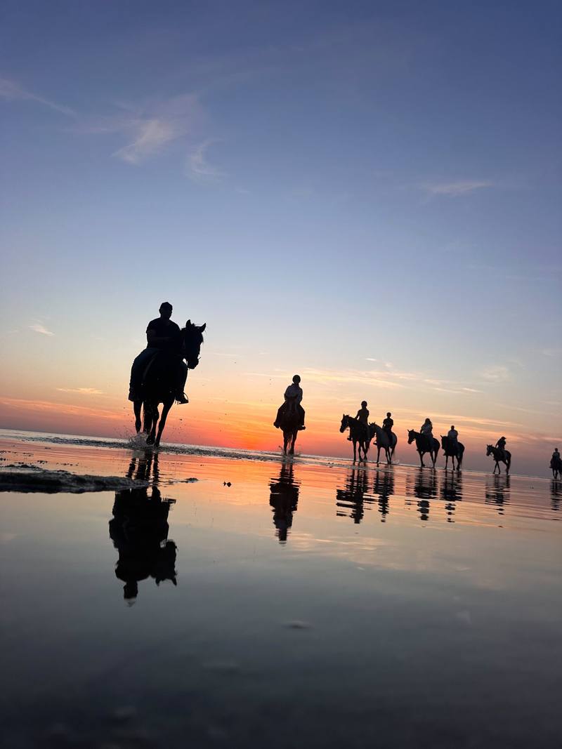Escursione a cavallo di 3 ore sulla costa ovest di Djerba