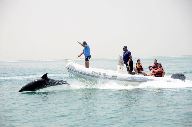 Speed boat — dauphins, Borj El Kastil & Hessi Jerbi